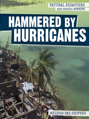 cover image of Hammered by Hurricanes